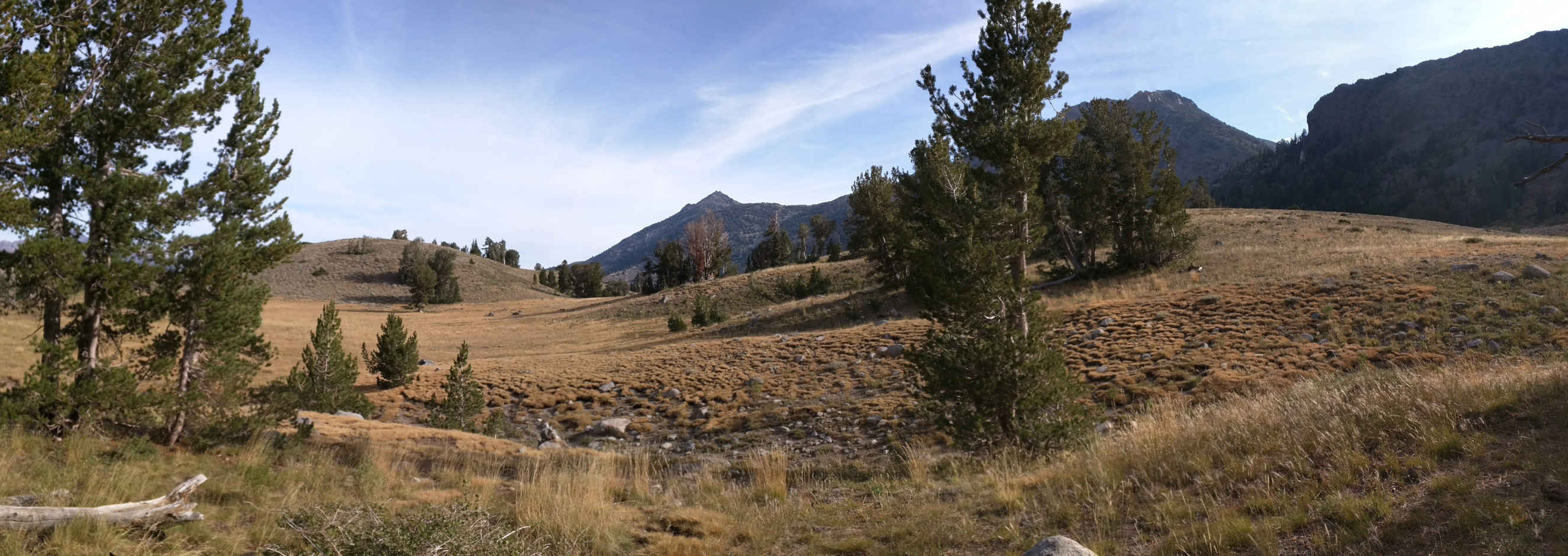 Pacific Crest Trail near Ebbetts Pass